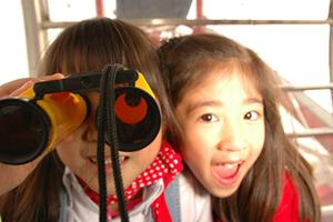 桜上水で個別指導を受けるメリットと効果的な学習法ガイド