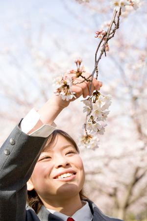 横浜駅周辺で見つかる初心者歓迎の英会話スクール徹底ガイド